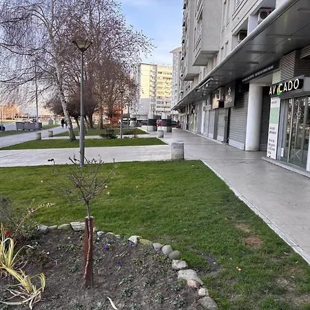 Arena Belgrade